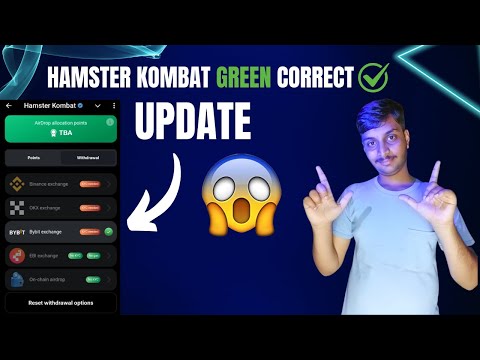 Hamster kombat green correct