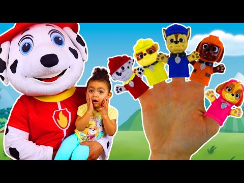 Finger Family with Paw Patrol | More Nursery Rhymes and Kids Songs