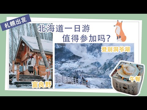 🌲 KKday一日游 ｜日本北海道旅 [2020] #3｜富良野森林精灵阳台🐧旭川动物园。白鬚瀑布｜⛰洞爷湖。登别地狱谷 ｜HOKKAIDO TRAVEL VLOG 4K