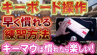 【APEXキーマウ初心者】キーボード操作に早く慣れるための練習方法！他のFPSでも応用が利きます【APEX LEGENDS PC】