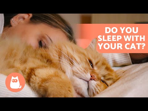 5 BENEFITS of SLEEPING With Your CAT 🐱💤 Is It OK to Sleep Next to Them?