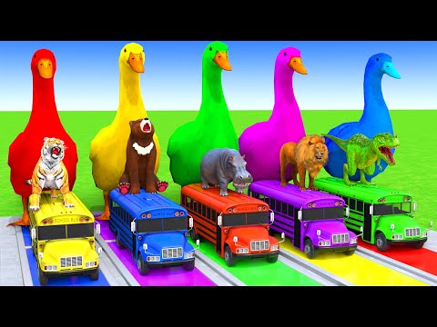 5 Giant Duck Cartoon,Cow,Elephant,Tiger,Lion,Dinosaur,Paint Wild Animals Crossing Fountain Animation