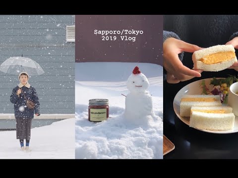 Hana 2019札幌⧸东京旅行（回忆）Vlog-酒店早餐 小樽一日游 堆雪人 去喜欢的喫茶店 洞爷湖山顶的法餐 吃烤牛肉 日出时分的富士山 看东京塔亮灯