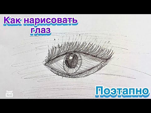 Как нарисовать глаз 👁️ Учимся рисовать ✍️ Поэтапно 🌸Красивый глаз 🎨