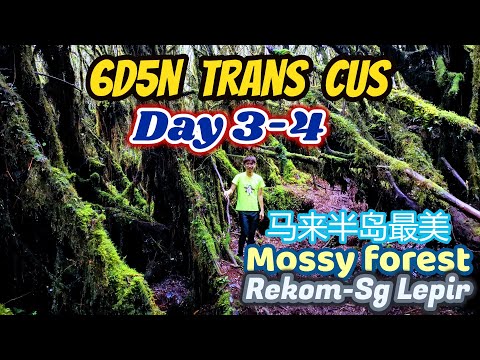 6D5N Trans CUS (G5 Chamah to G7 Ulu Sepat) Day 3,4六天五夜跨越马来半岛第五和第七最高山峰之第三,四天，经过马来半岛最美的mossy forest