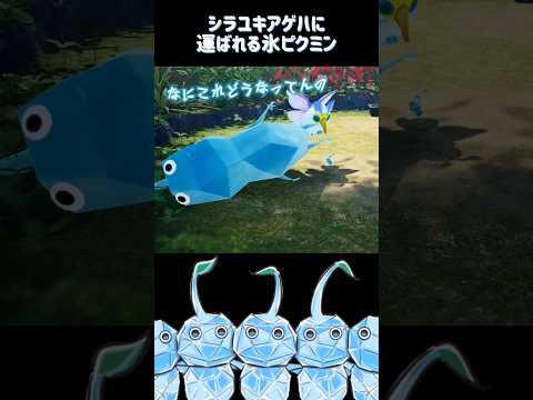 シラユキアゲハに運ばれる氷ピクミン 【ピクミン4】#shorts #バグ