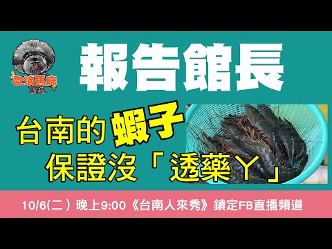 報告館長｜台南蝦子沒「透藥ㄚ」｜養蝦達人｜台南人來秀｜臉書直播｜歐滴馬麻