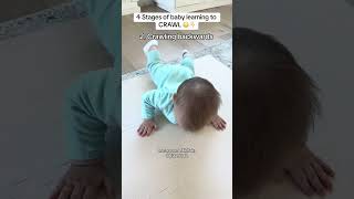 4 Stages baby learning to CRAWL ‼️🚨 #baby #babyshorts #babies #crawling #crawlingbaby