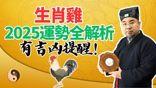 生肖雞，2025乙巳蛇年流年運勢全解析！吉凶大揭秘！属雞人必看！ #2025年生肖雞運勢 #2025年生肖雞運程 #2025年屬雞運勢 #2025年屬雞運程