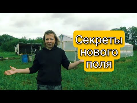 Новое поле для сада и огорода Светланы Самойловой 🌱