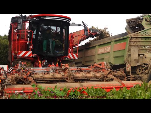 Holmer - John Deere - Bergmann / Zuckerrübenernte - Sugar Beet Harvest