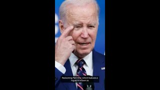 Unmasking the Tom Cruise Factor in Biden's AI Executive Order