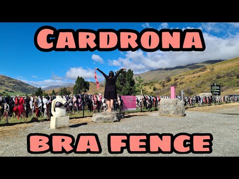 CARDRONA BRA FENCE #bradona