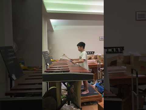 【馬林巴木琴】Dance of the Witches by Eckhard Kopetzki marimba solo