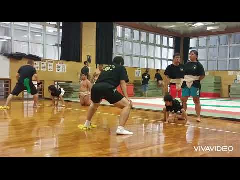 【わんぱく相撲】中学生女子〜小学生基礎トレーニング😁稽古様子💪2024.7.20(土)【五十嵐相撲倶楽部】