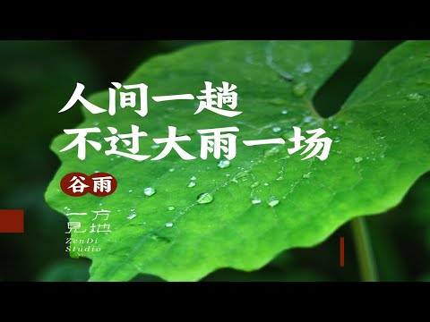 谷雨，人间一趟不过大雨一场