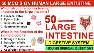 50 digestive system mcq questions | large instistine mcqs | mcq on digestive system for neet