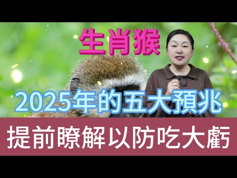 生肖猴注意！2025 年五大预兆揭晓，屬猴人早知道早受益，少吃亏赢未来！#風水 #生肖 #運勢 #佛教 #命理