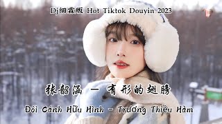 张韶涵 - 有形的翅膀 Đôi Cánh Hữu Hình - Trương Thiều Hàm (Dj细霖版 Hot Tiktok Douyin 2023)