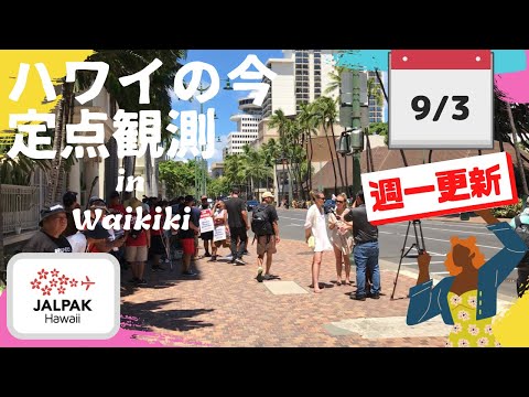 【ハワイの今】ワイキキ定点観測  2024年9月3日