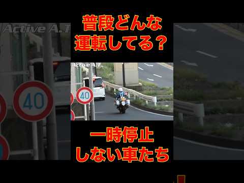 おーい止まれーの声も虚しく停止線で止まらない車の末路