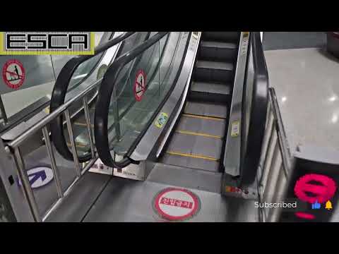 [Reverse running prevention buzzer] Korean shopping mall GARDEN5 escalator Hyundai