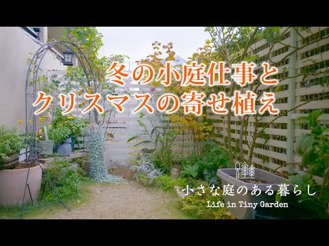 ガーデニング Vlog｜冬の小庭仕事とクリスマスの寄せ植え｜ 〜小さな庭のある暮らし 172〜Gardening ｜ Life in a tiny garden