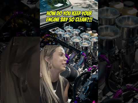 Keeping the engine bay clean #lol #memes