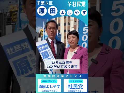 #千葉6区 #原田よしやす さん #衆議院選挙2024 #比例は社民党 #社民党 #社民党がいます #福島みずほ #衆院選2024