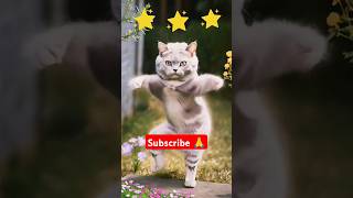 cat dance 😻❤️ #kitten #dancingcat #cat #subscribe #bhojpuri