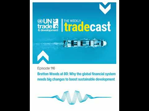 Bretton Woods at 80: Why the financial system needs big changes to boost sustainable development