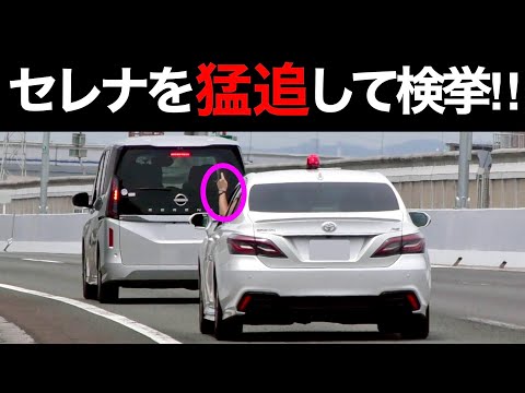 【手を出して合図‼️】覆面パトカーがセレナを猛追して検挙‼️　[警察 取り締まり 高速道路 220系]