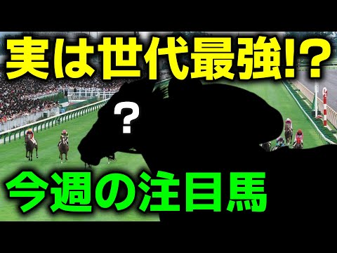 実は世代最強かもしれない馬が今週に登場!!