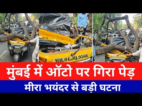 मीरा भयंदर में ऑटो पर गिरा पेड़ बची बाल बाल जान|Meera Bhayandar auto News|Smart News India