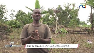 NCI REPORTAGES du 12 janvier 2025 | SIDA du cacao ; Voyage au pays de la poterie