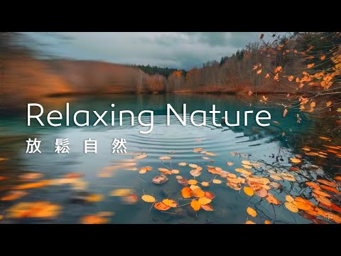 放鬆音樂Relaxing Music｜望著湖面漣漪輕盪，煩憂漸散，心靈釋然