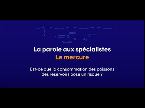 Est-ce que la consommation des poissons des réservoirs pose un risque?