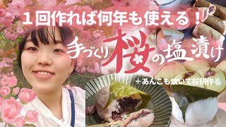 桜の塩漬けを作るよ！1度作れば長く保存できて桜餅を無限生産できますっ