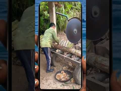 Young couple's wood cutting day Part 1 #couple #fyp  #automobile #woodworkings #shorts