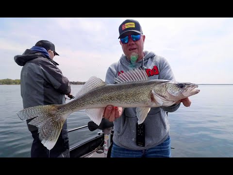 Mille Lacs Walleye Fishing is on FIRE Right Now