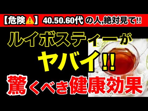 【超重要】身体に良いは嘘？ルイボスティーで身体が崩壊！？オススメルイボスティー３選！