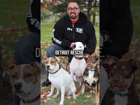 Detroit Dog Rescue #detroit #dogrescue #dog #doglover #dogs #straydogs #rescuedog #animals #podcast