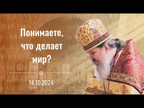 Понимаете, что делает мир? Проповедь на Покров о. Андрея Лемешонка 14 октября 2024 г.