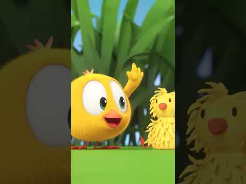 New friends  #chicky | Chicky Cartoon in English for Kids