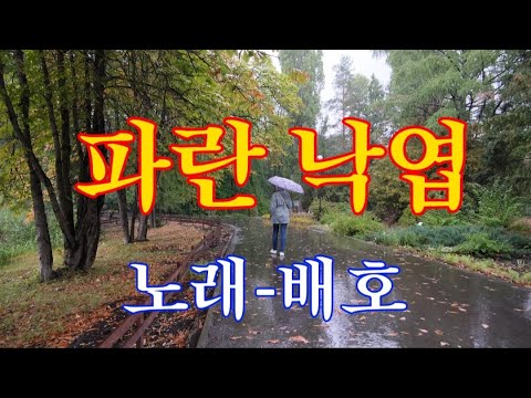 파란 낙엽-가수 배호