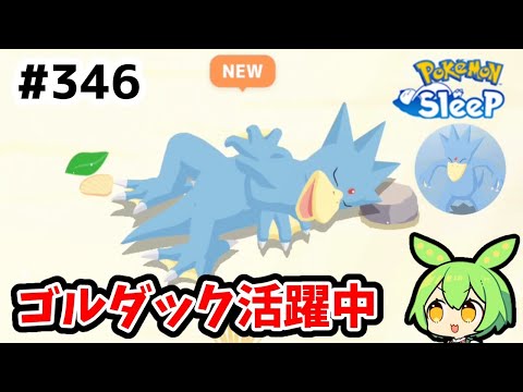 【睡眠リサーチ】＃346『ゴルダックのスキルが気持ち良い！』【ポケモンスリープ/pokemon sleep】【無課金ゆっくり実況ずんだもん】