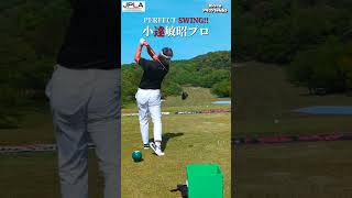 PERFECT SWING!! ツアーでも活躍 小達敏昭プロのビッグスイング!! #golf #golfswing #shorts ゴルフ ドラコン ドライバー