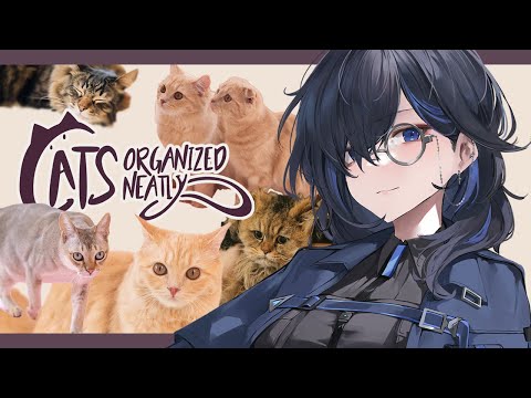 【Cats Organized Neatly】久しぶりに猫を並べますか(ΦωΦ)ﾁﾙい感じで【絢世ユウ / PhaseConnect】