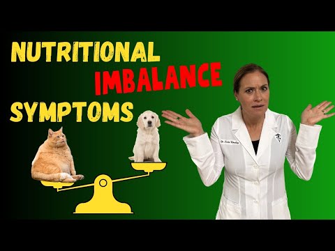 Top Five Signs Your Pet Has A Nutritional Imbalance & How To Fix Them