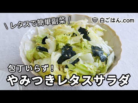 やみつきレタスサラダ／レタスでかんたん副菜！包丁いらずで手軽